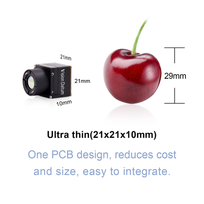 0.1MP 50HZ 12μm Temperature Measurement Micro LWIR Camera