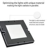 Bottom Flat Parallel Backlight BFP Series