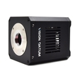 iBX-UVTG4G4 4.2MP 10GigE UV industrial camera with GSENSE400BSI sensor