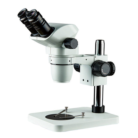 Atomic Force Differential Field Emission Scanning Electron Microscope